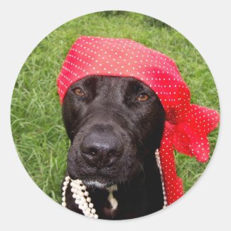 Pirate dog, black lab, red hankerchief green grass round sticker