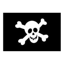 Pirate Flag Poster posters