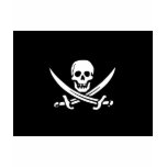 Pirate Flag T Shirt