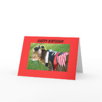 Pirate Happy Birthday cards