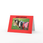 Pirate Happy Birthday cards
