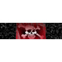 Pirate Jolly Roger Skateboard skateboard