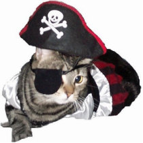 Pirate kitty cat shaped magnet/ornament/keychain photo sculptures