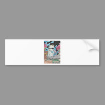 Pirate Mercat and turtle bumper stickers