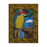 Pirate Parrot Post Cards