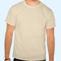 Pirate Pi Day Gear t-shirts