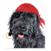 Pirate Ralph Canvas Print