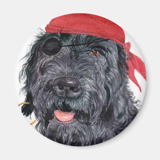 Pirate Ralph Magnet