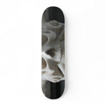 Pirate Skull & Bones Skateboard