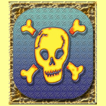 Pirate Skull T-Shirt