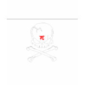 Pirate Skull T-shirt Pirate Skull T-shirt