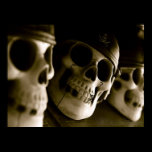 Pirate Skulls Poster posters