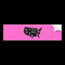 PIRATE USA 5 bumper stickers