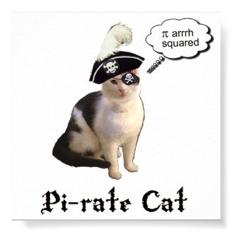PiRateCat Posters