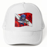 piratediveflag copy hat