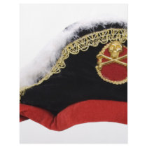 PirateHat103109 copy letterhead