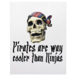 Pirates cooler than Ninjas Customized Letterhead