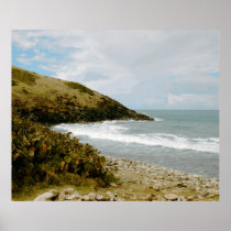 Pirate's Cove Poster
