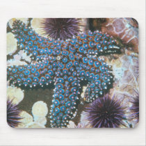 Pisaster Giganteus Starfish mousepads by inquester Pisaster Giganteus Starfish mousepads