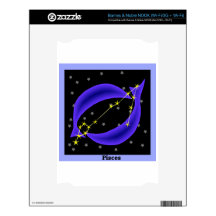 Pisces Decal For NOOK