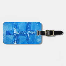 Pisces Tag For Luggage