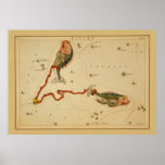 Pisces The Fish - Vintage Sign of the Zodiac Image Poster