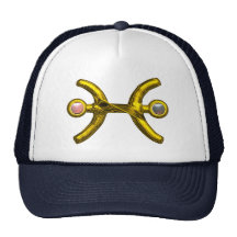 PISCES TRUCKER HAT