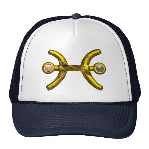 PISCES TRUCKER HAT