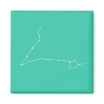 Pisces Zodiac Magnet magnets