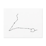 Pisces Zodiac Postcard