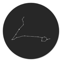 Pisces Zodiac Sticker stickers