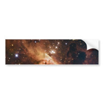 Pismis 24 brown starry sky bumper stickers