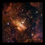 Pismis 24 brown starry sky posters
