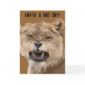 pissed off, Havin' A Bad Day? cards
