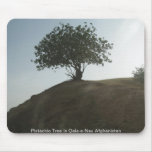 Pistachio Tree in Qala-e-Nau... Mouse Pads