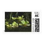 Pistia stratiotes postage