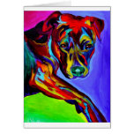 Pit Bull #4 Cards