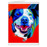 Pit Bull #5 Greeting Cards