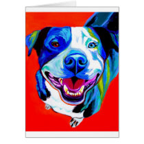 Pit Bull #5 cards