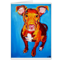 Pit Bull #6 cards
