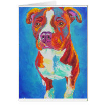 Pit Bull #8 cards