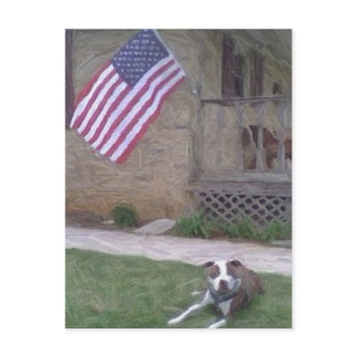 Pit Bull/BSL Postcard by jmpreis