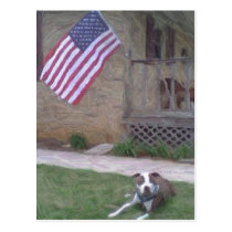 Pit Bull/BSL Postcard postcards