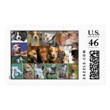 Pit Bull Collage Stamp