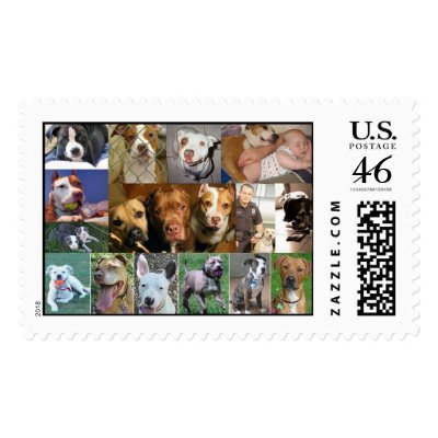 Pit Bull Collage Stamp by deednotbreed