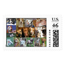 Pit Bull Collage Stamp by deednotbreed Pit Bull Collage Stamp