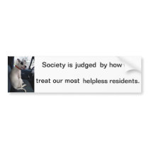 pit bull, dog, protect, animal, rights, cherish bumper stickers