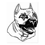 PIT BULL HEAD POSTCARD