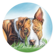 Pit Bull Hears You Round Stickers