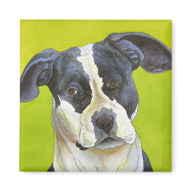 Pit Bull Mix Dog Magnet by CherilynnFineArt Pit Bull Mix Dog Magnet